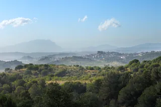 Parc Natural de la Serra de Collserola