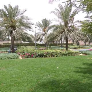 Sharjah Paintball Park