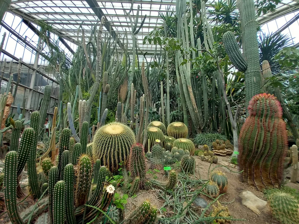 Palmiarnia Poznańska