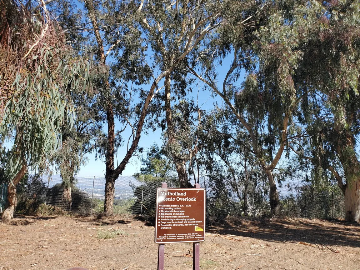 The Groves Overlook