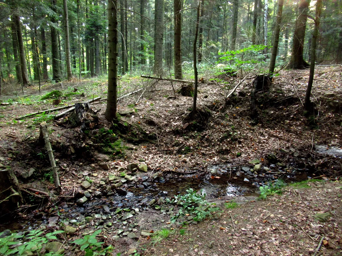 ŚCIEŻKI ROWEROWE