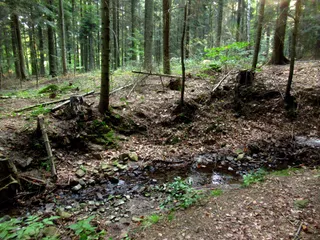 ŚCIEŻKI ROWEROWE