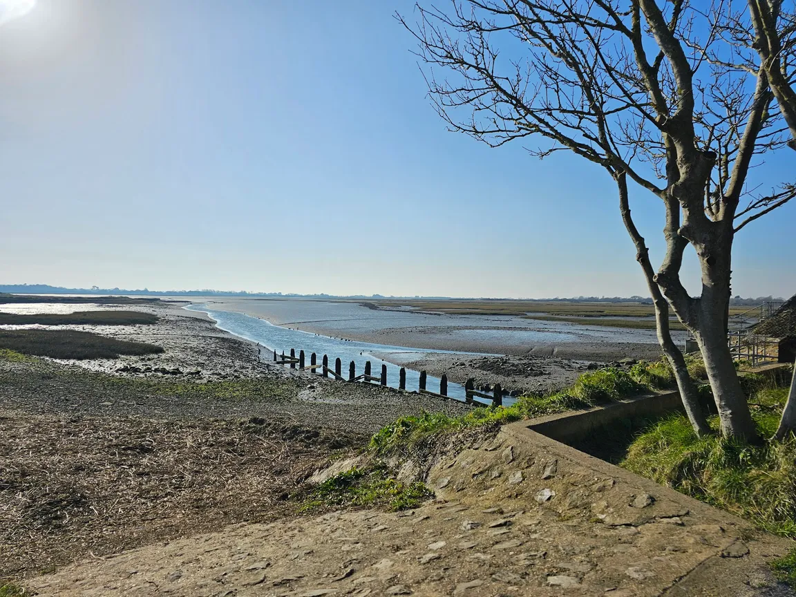 Pagham Harbour Walk