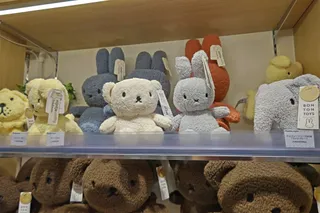 Kiddy Land