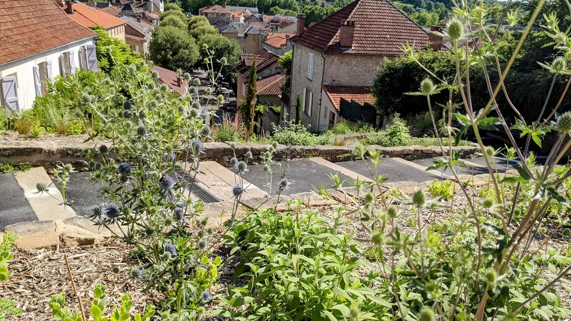 Escaliers Du Calvaire
