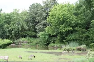 North Park Village Nature Center