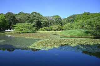 Hyogo Prefectural Mikiyama Forest Park
