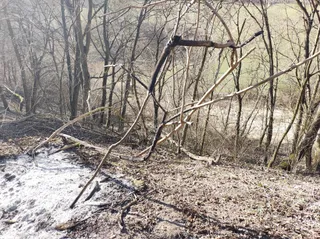 Ruiny Zamku Krzyżackiego w Pokrzywnie