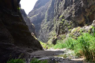 Barranco de Masca