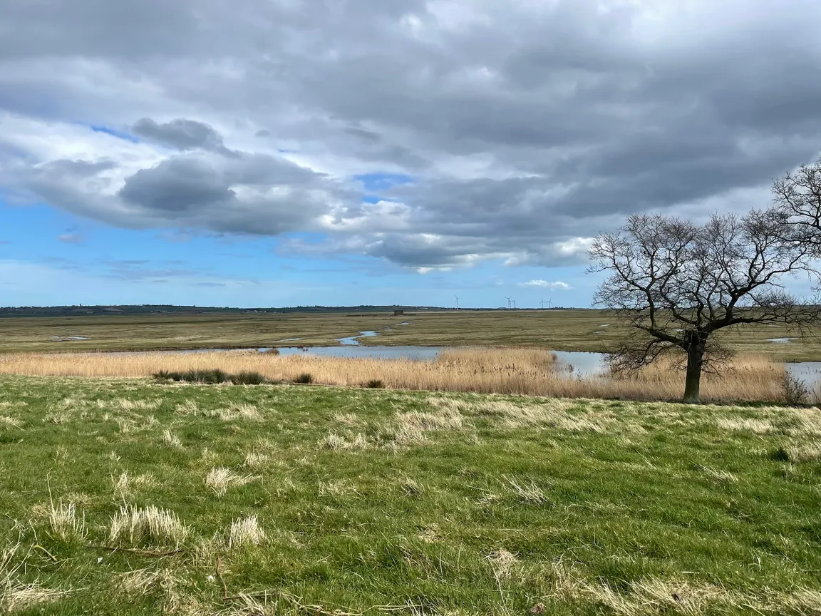 Elmley National Nature Reserve