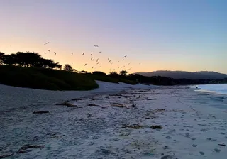 Carmel Beach