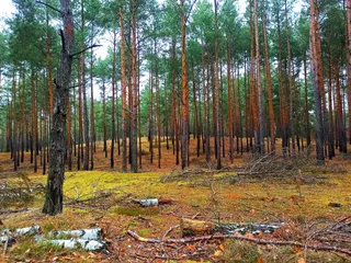 Górka na MTB