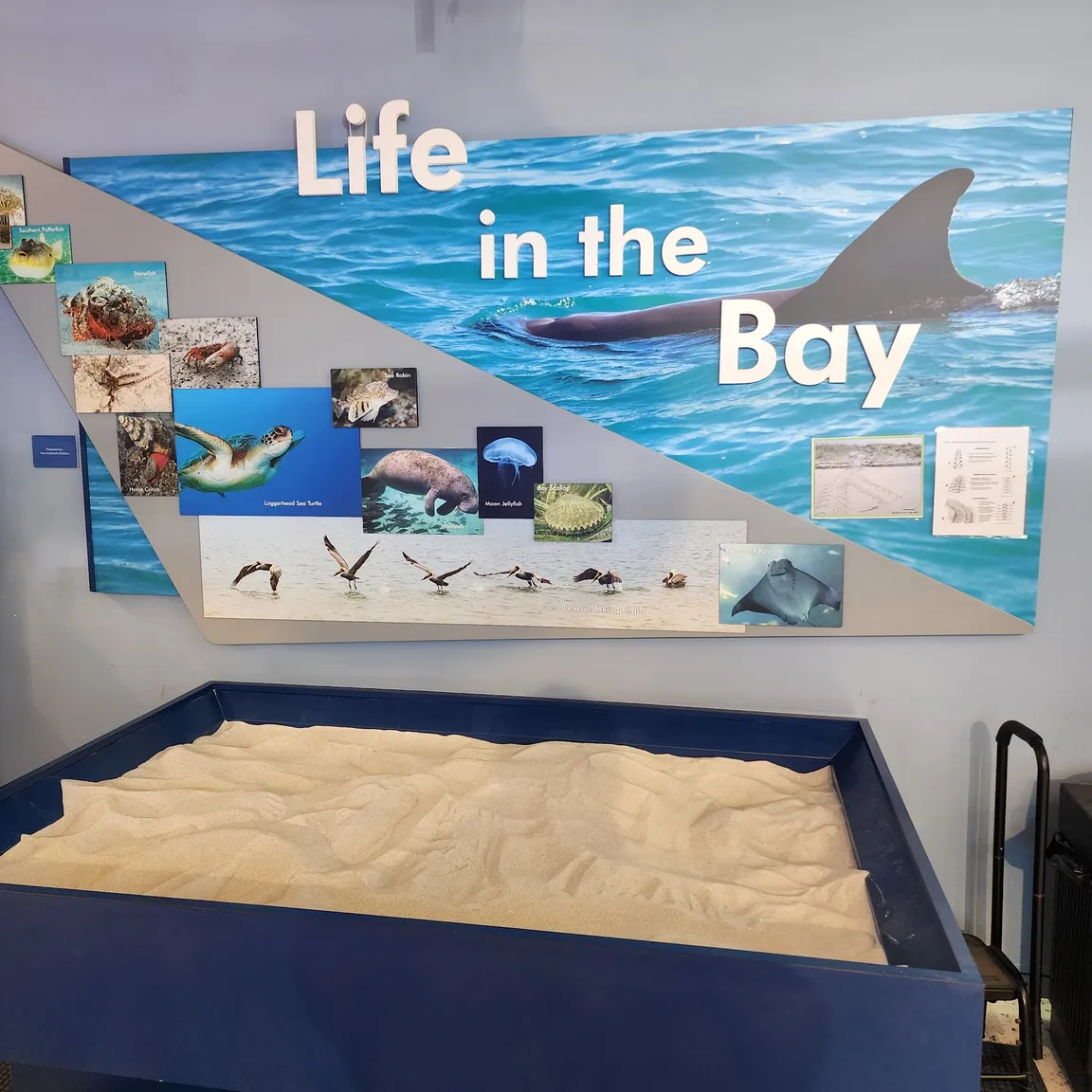 Tampa Bay Watch Discovery Center