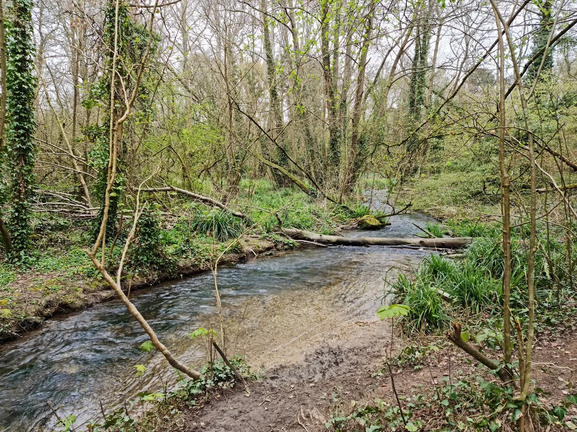 Meon Valley Trail