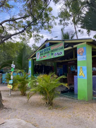 Go Dive Bayahibe