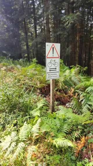 Hexentrail, Einstieg zum MTB-Trail