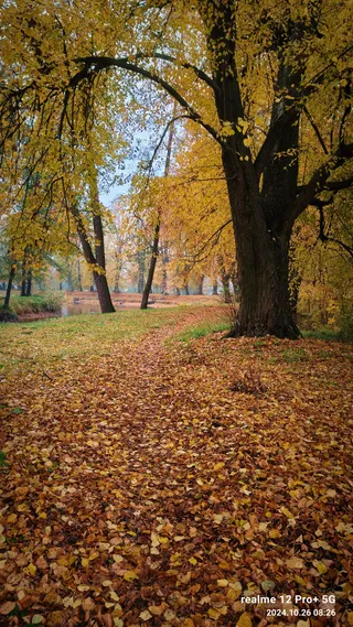Stanica Serniki na rzece Wieprz
