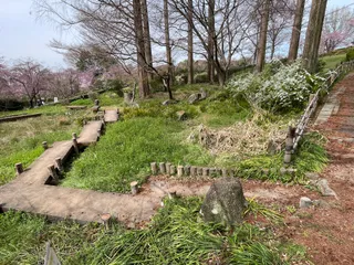 湿地園