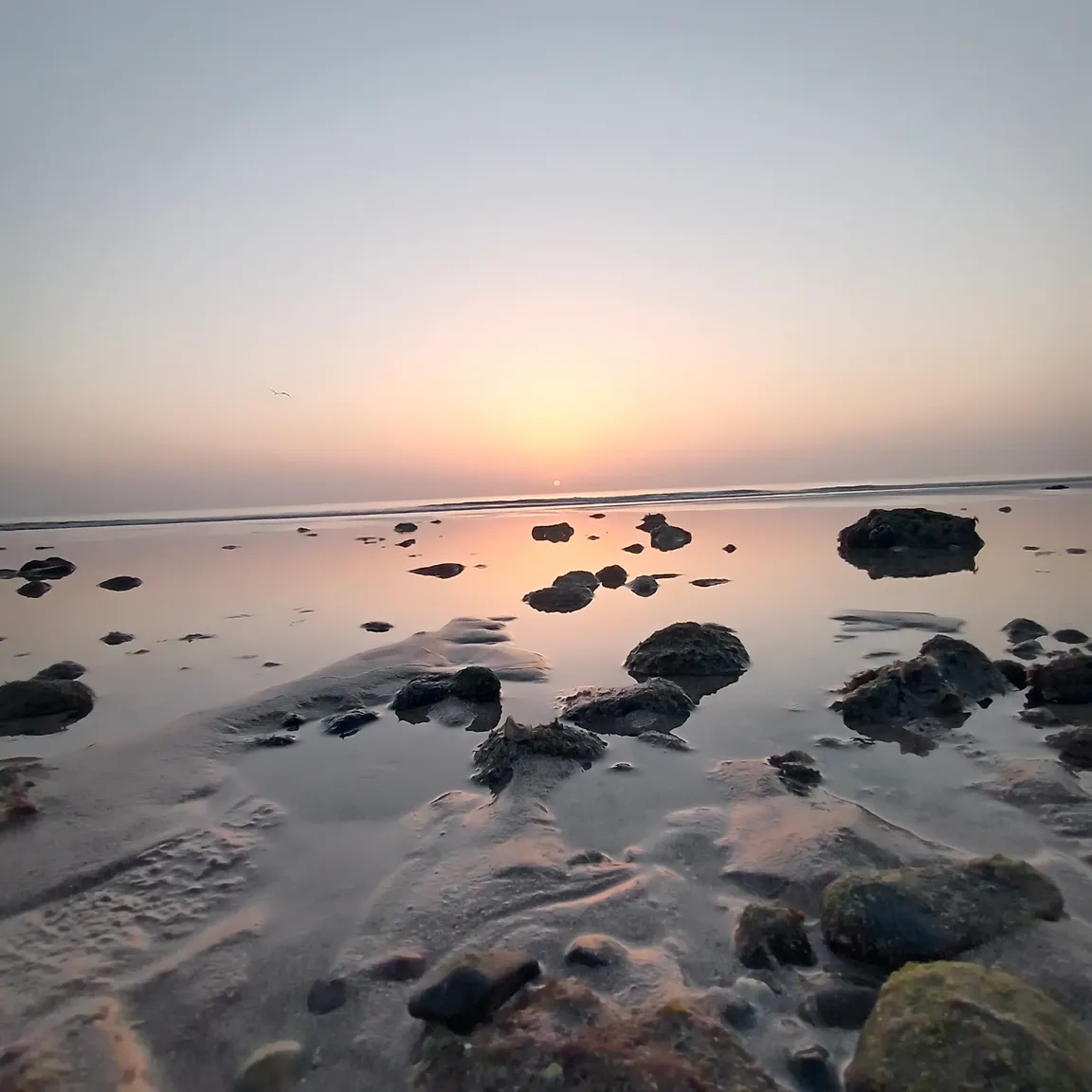 Bustan Beach & Boat Tours