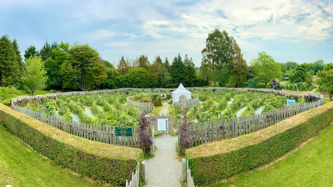 Greenan Maze