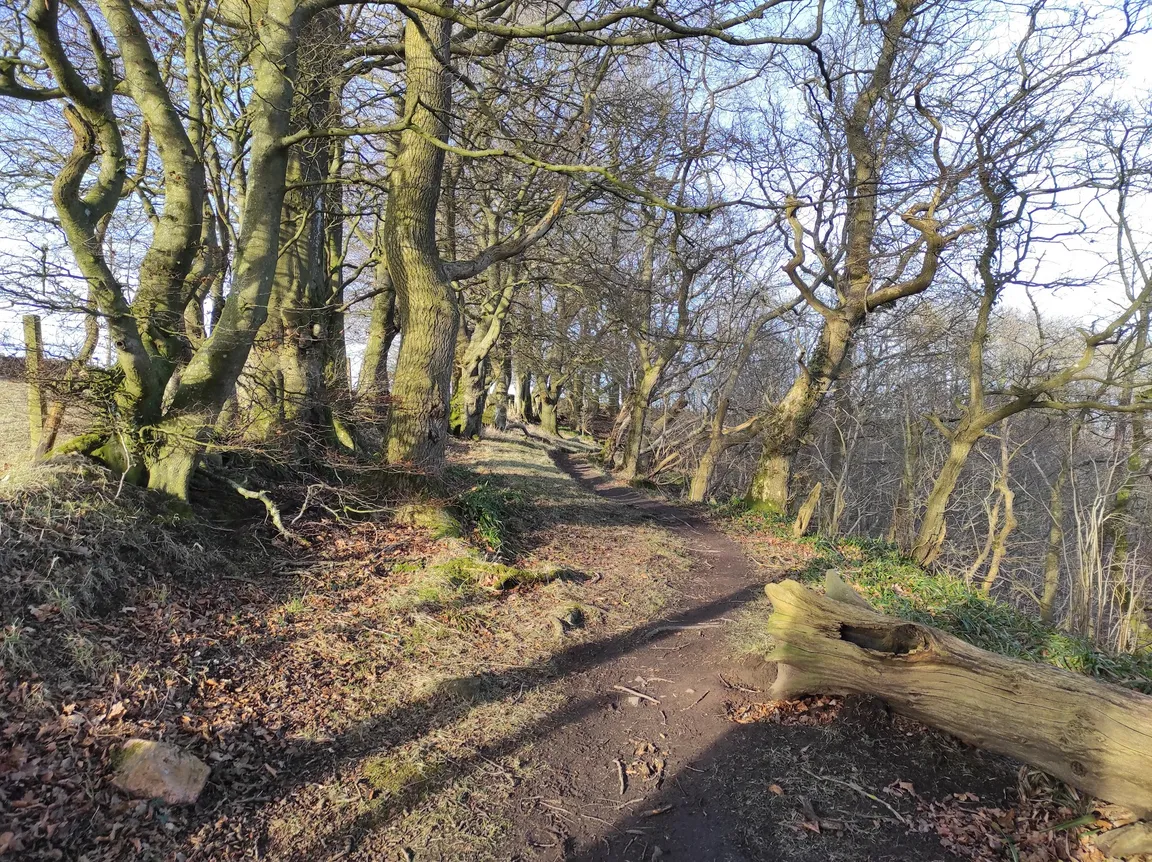 Clyde Valley Woodlands National Nature Reserve (Cartland Crags)