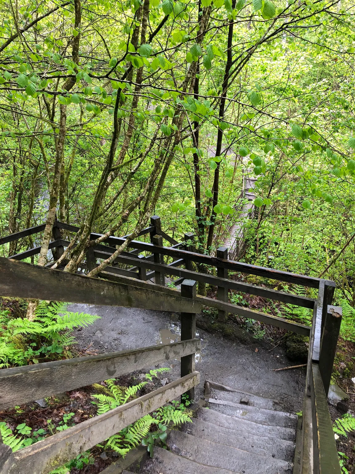 Waterfall Country