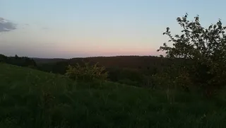 Bike Park Poręby