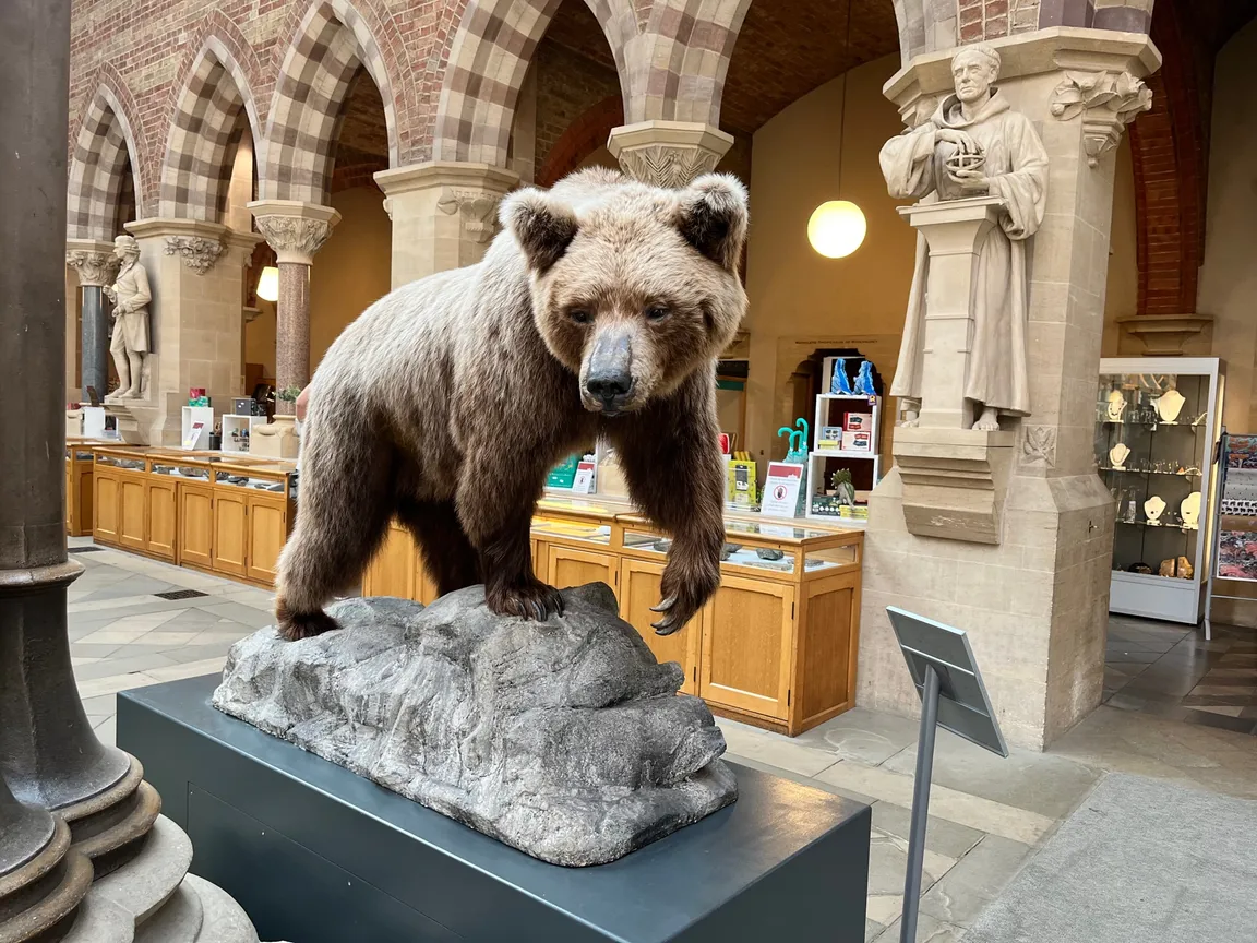 Oxford University Museum of Natural History