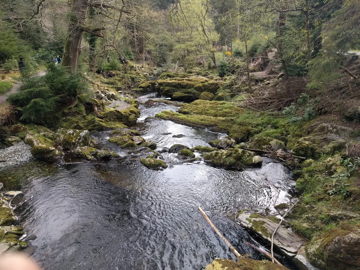 Tollymore Forest Park