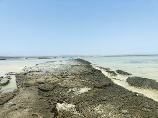 Qulaan Mangrove Beach