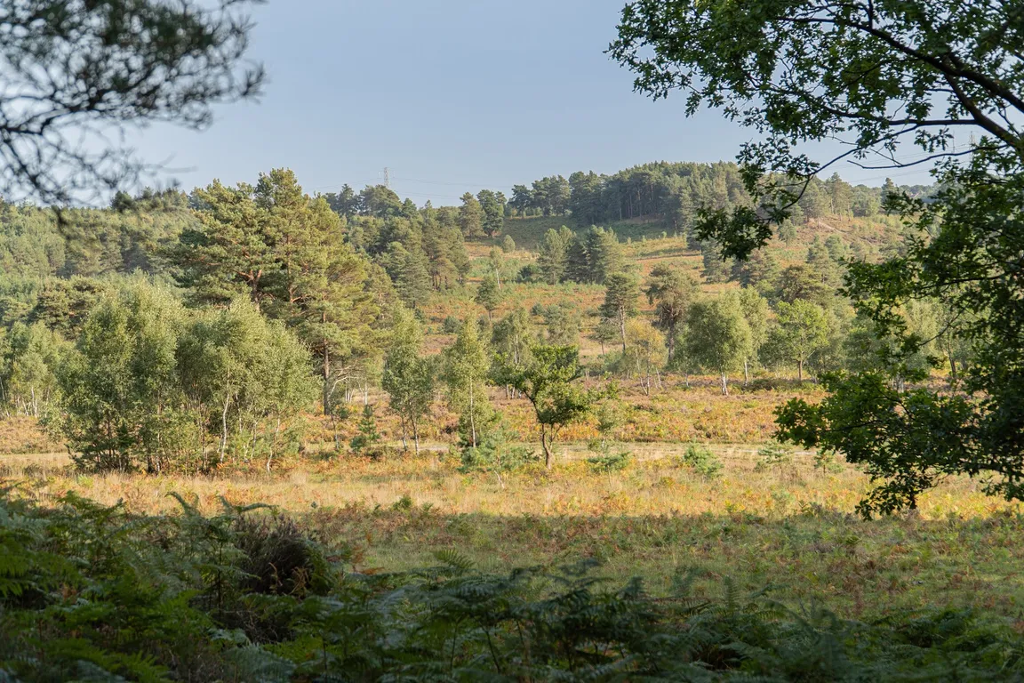 Barossa Nature Reserve