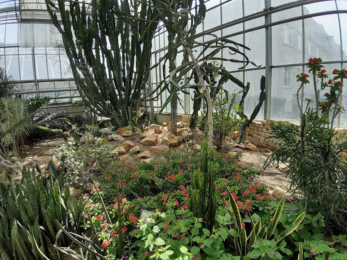 PAN Ogród Botaniczny – CZRB w Powsinie