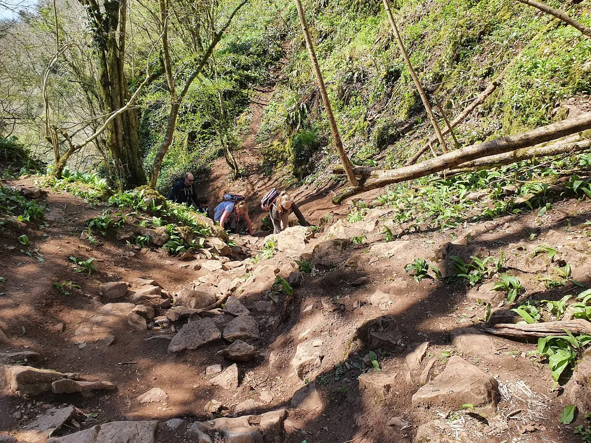 National Trust - Ebbor Gorge National Nature Reserve