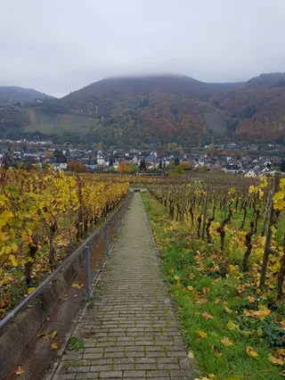 Treppen durch die Weinberge