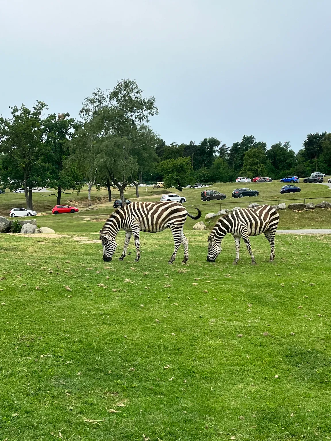 Pombia Safari Park