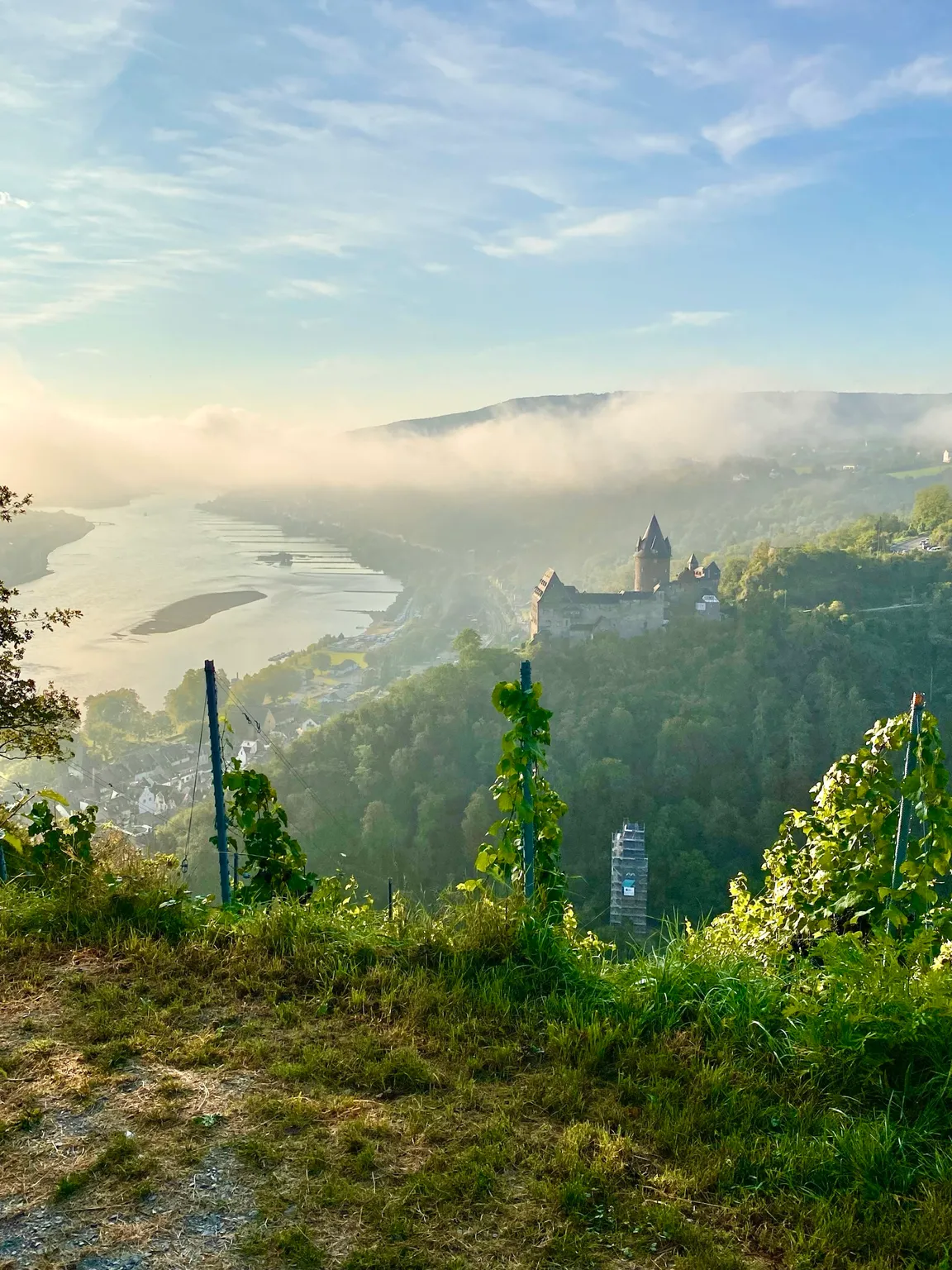 Weingut G. Schüler