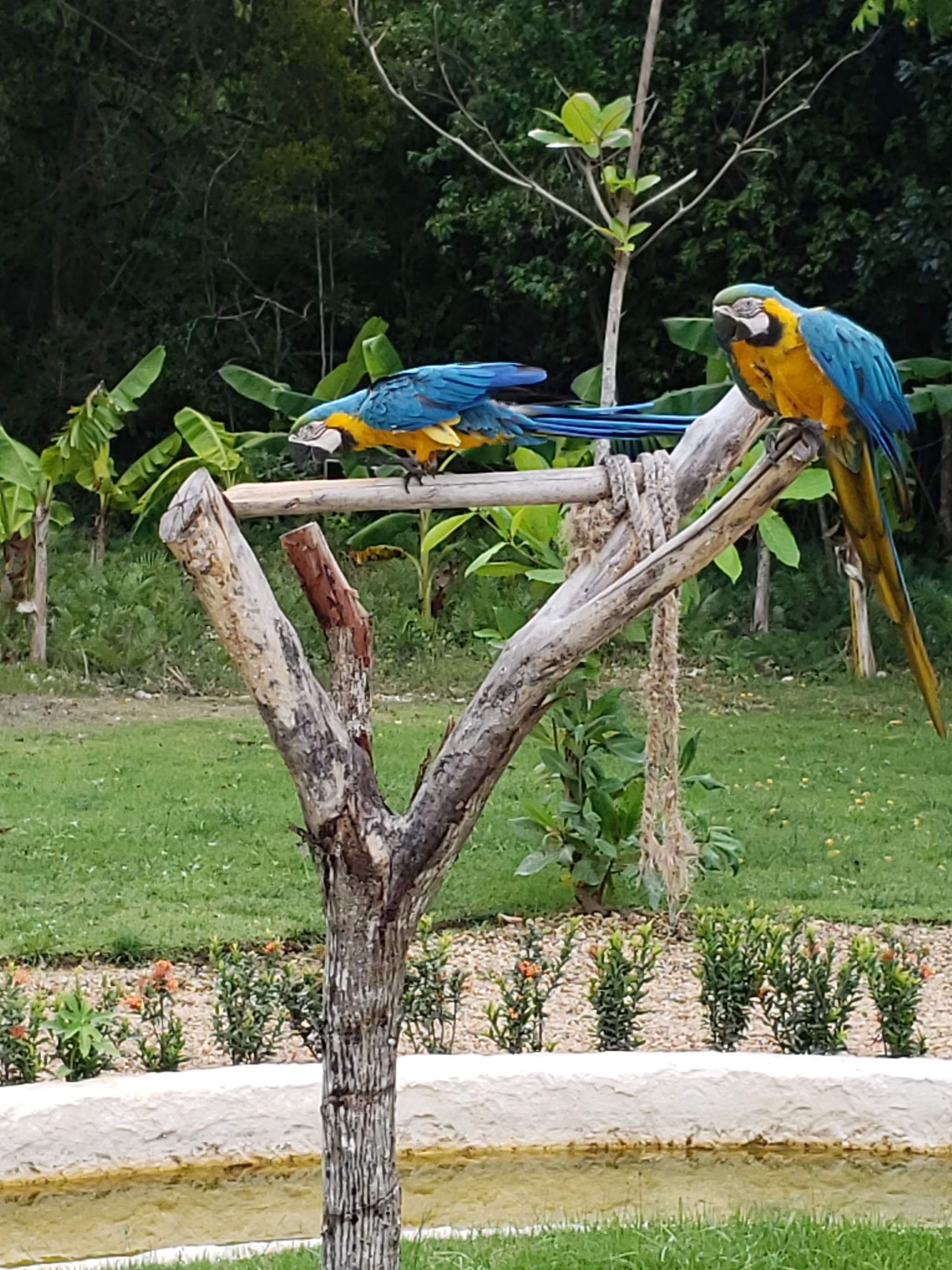 Hoyo Azul | Hopsa