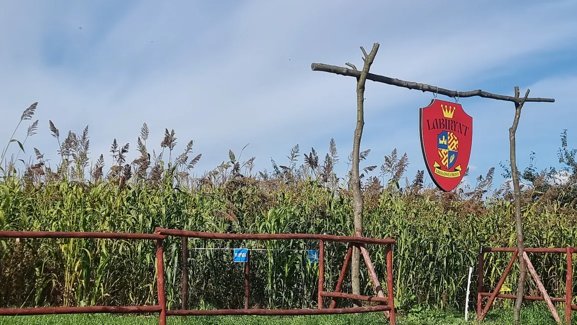 Labirynt Królowej Bony