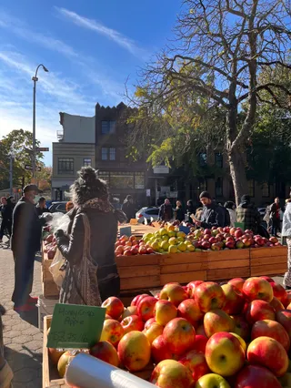 Fort Greene Park Greenmarket