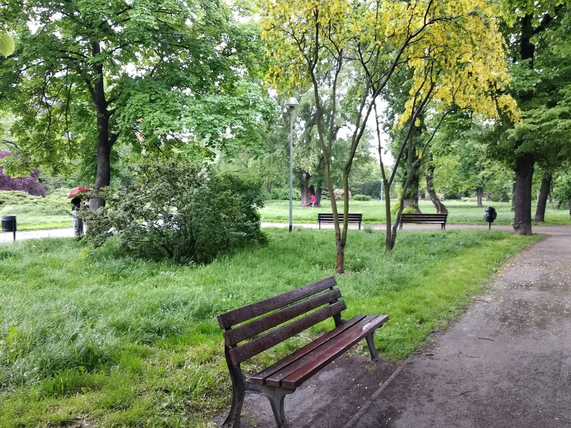 Wybieg dla psów