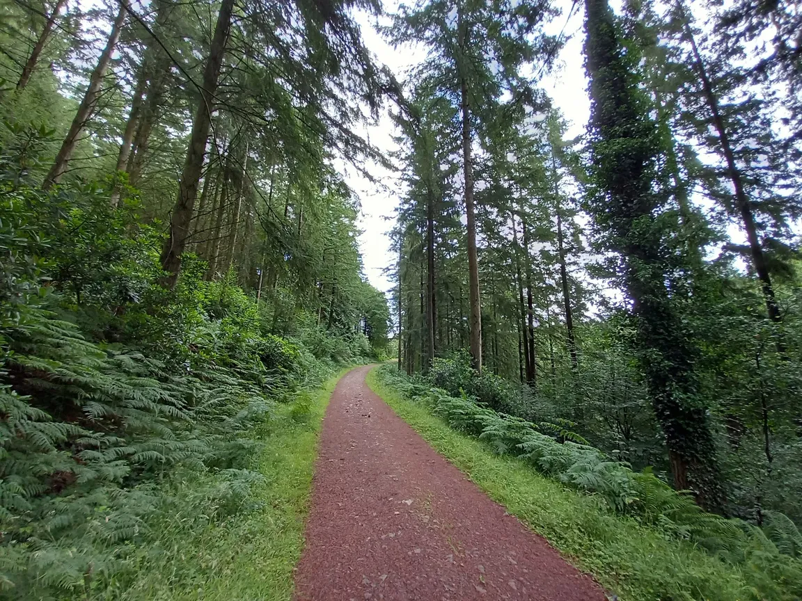 Great Wood