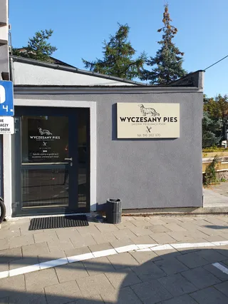 Wyczesany Pies Salonik Pielęgnacji Psów Groomer, Psi fryzjer Oliwa