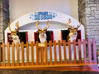 Ski Dubai