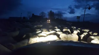 Gospodarstwo Agroturystyczne U Nędzy