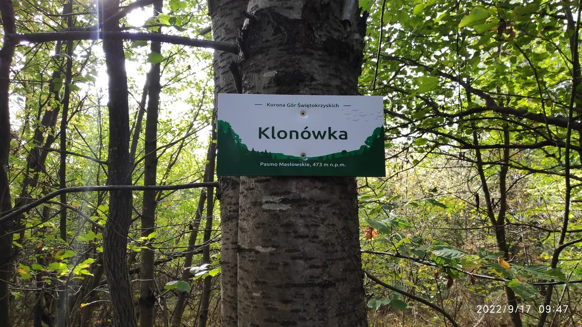 Klonówka