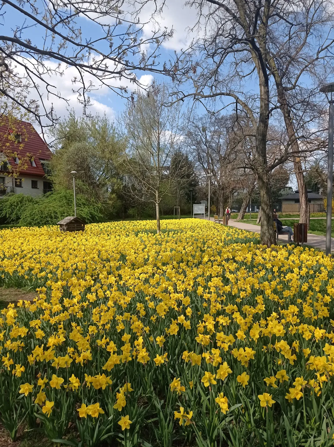 Park ze Stawami Cietrzewia