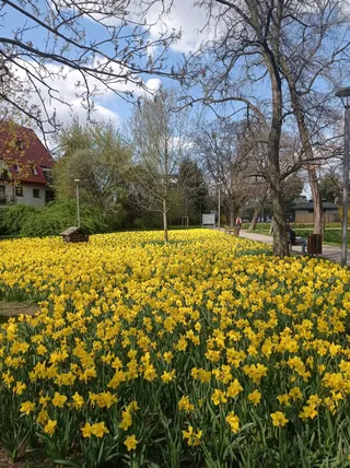 Park ze Stawami Cietrzewia