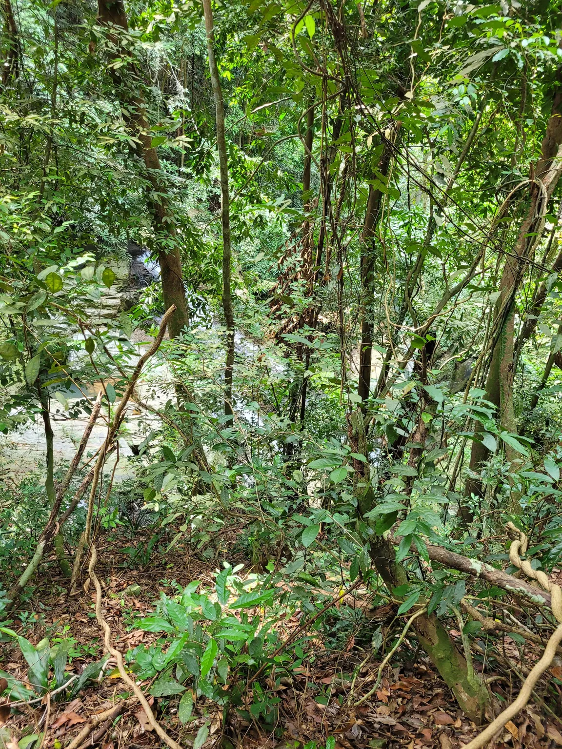 Khun Si Waterfall