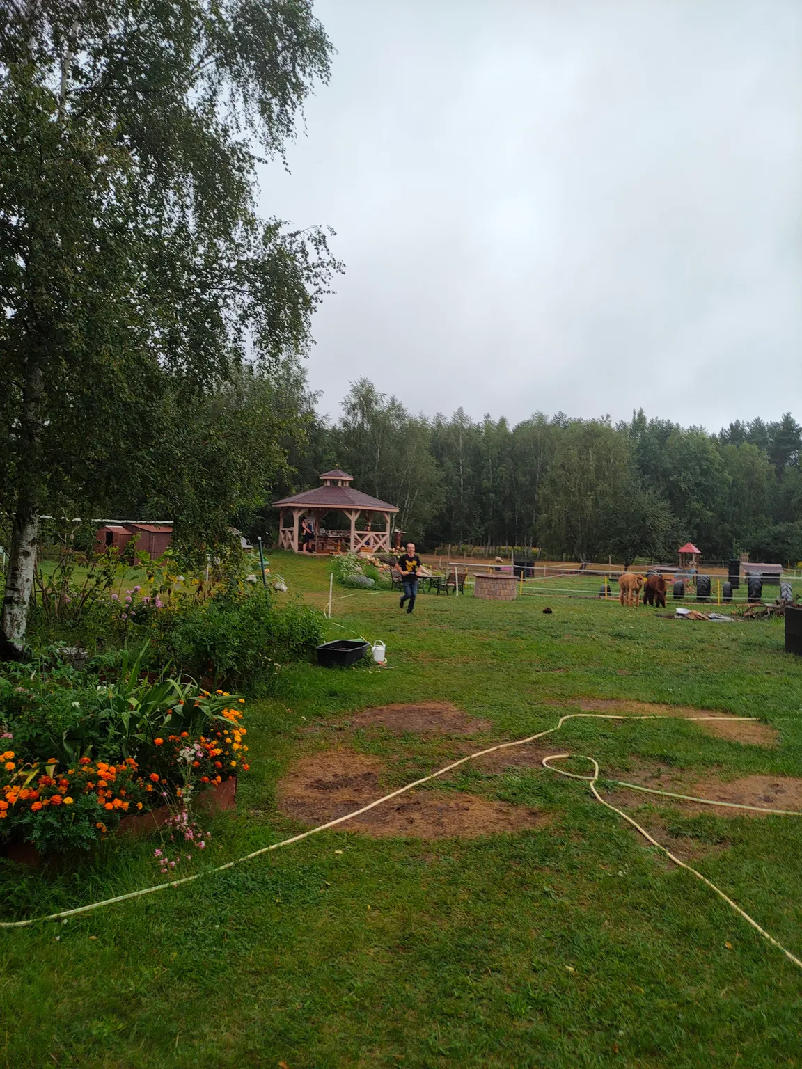 Agroturystyka Malpaka - alpakoterapia, spacery z alpakami