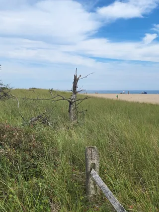 Wasque Point Wildlife Management Area